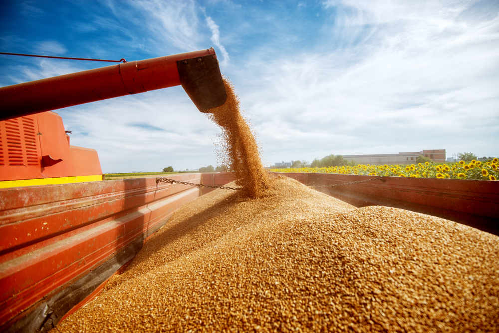 Grains Industries