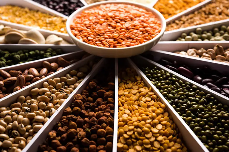 Pulses Mills