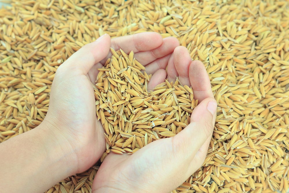Rice Industries